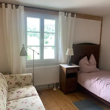 アパート Das Micla - Dein Schwarzwaldzuhause Menzenschwand-Hinterdorf