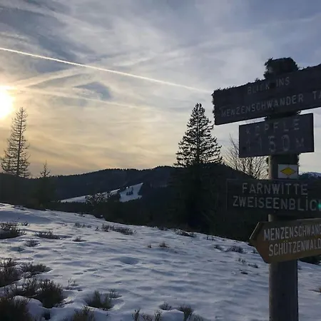 Das Micla - Dein Schwarzwaldzuhause アパート Menzenschwand-Hinterdorf